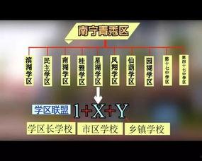 广西教育爆料最新消息,多所高校改革举措及招生政策大揭秘