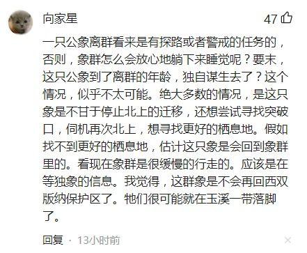 明星网红吃瓜qq群,揭秘娱乐圈幕后风云 第3张 明星网红吃瓜qq群,揭秘娱乐圈幕后风云 第3张