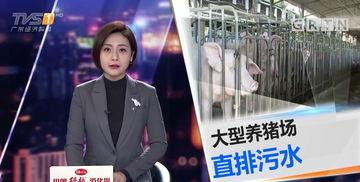 今日一线爆料汕头  第2张