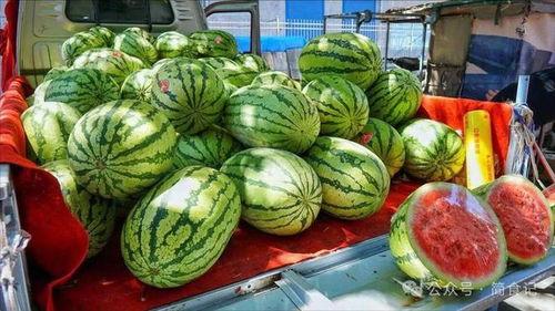 缅甸网红吃瓜事件真相,真相与背后的网络舆论风云 第2张 缅甸网红吃瓜事件真相,真相与背后的网络舆论风云 第2张