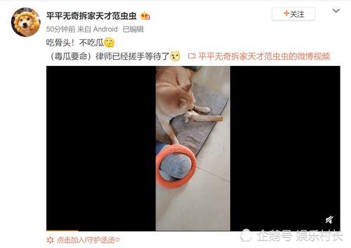 男网红吃瓜爆料视频播放,吃瓜爆料视频背后的惊人播放量揭秘 第2张 男网红吃瓜爆料视频播放,吃瓜爆料视频背后的惊人播放量揭秘 第2张
