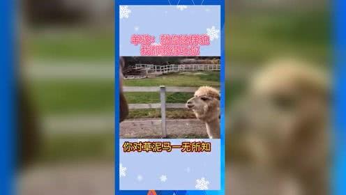 吃瓜群众娱乐素材,吃瓜群众揭秘明星幕后故事 第2张 吃瓜群众娱乐素材,吃瓜群众揭秘明星幕后故事 第2张