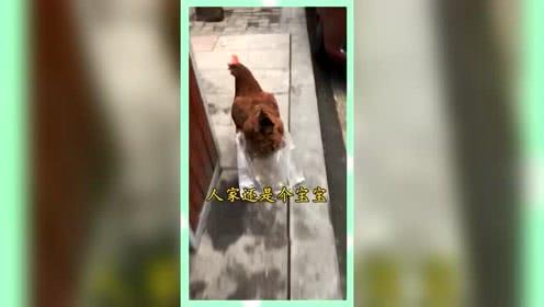 吃瓜群众娱乐素材,吃瓜群众揭秘明星幕后故事 第3张 吃瓜群众娱乐素材,吃瓜群众揭秘明星幕后故事 第3张