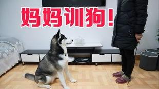 狗哥爆料新鞋视频大全集,新鞋视频大全集亮点解析 第1张 狗哥爆料新鞋视频大全集,新鞋视频大全集亮点解析 第1张