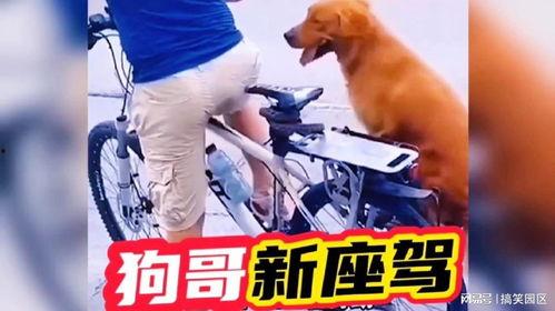 狗哥爆料新鞋视频大全集,新鞋视频大全集亮点解析 第2张 狗哥爆料新鞋视频大全集,新鞋视频大全集亮点解析 第2张