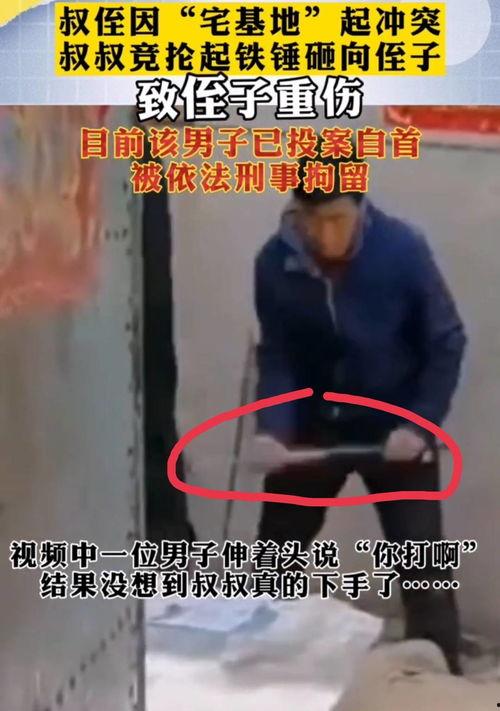 如意爆料铁锤视频,如意爆料背后的真相与内幕 第3张 如意爆料铁锤视频,如意爆料背后的真相与内幕 第3张