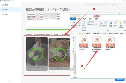 吃瓜娱乐素材视频无水印,无水印素材背后的娱乐真相 第3张 吃瓜娱乐素材视频无水印,无水印素材背后的娱乐真相 第3张