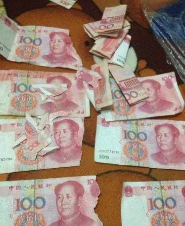 圈内爆料二哈百度云资源,二哈百度云资源独家揭秘,带你领略萌犬风采 第3张 圈内爆料二哈百度云资源,二哈百度云资源独家揭秘,带你领略萌犬风采 第3张