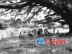 云水谣在线观看,穿越时空的深情演绎
