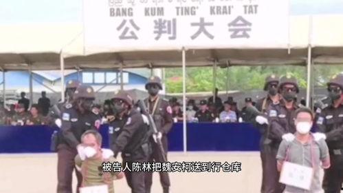 佤邦邦康最新爆料信息,揭秘邦康地区最新动态与热点事件