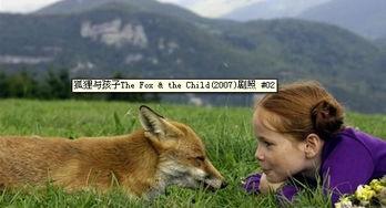 娱乐吃瓜酱狐狸,揭秘娱乐圈背后的那些事儿 第3张 娱乐吃瓜酱狐狸,揭秘娱乐圈背后的那些事儿 第3张