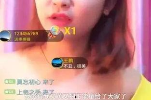 女主播的故事在线观看,梦想与现实的交织之旅