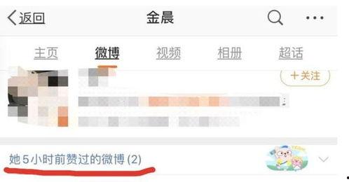 娱乐圈瓜的爆料与分析,揭秘明星背后的真实故事  第3张