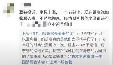 新闻爆料中介租房,揭秘行业潜规则与消费者权益受损