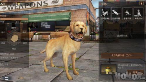 明日之后忠犬最新爆料,忠犬守护者新篇章，揭秘神秘爆料背后的故事