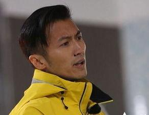 爆料谢霆锋的视频大全最新,揭秘明星私生活瞬间  第2张