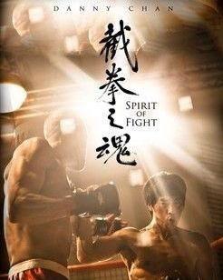 截拳之魂在线观看,在线领略李小龙武术哲学精髓