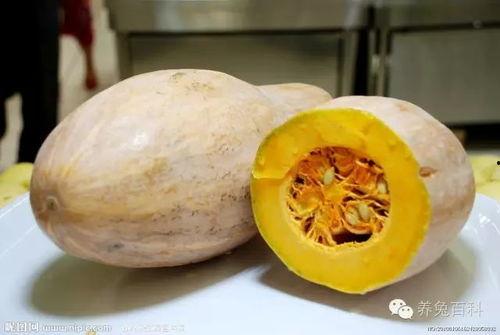 土豆直播间大号网红吃瓜,揭秘娱乐圈幕后真相  第2张