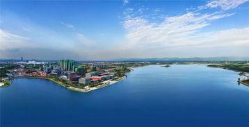 沂河新区爆料案件最新消息,揭秘案情细节与侦破进展 第2张 沂河新区爆料案件最新消息,揭秘案情细节与侦破进展 第2张