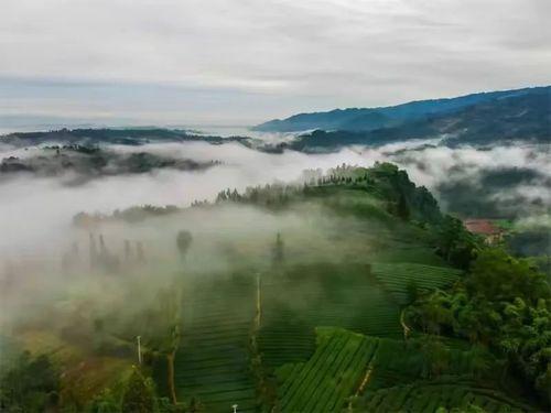 雅安名山新闻爆料,雅安名山最新爆料,聚焦热点事件 第2张 雅安名山新闻爆料,雅安名山最新爆料,聚焦热点事件 第2张