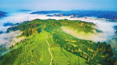 雅安名山新闻爆料,雅安名山最新爆料,聚焦热点事件 第3张 雅安名山新闻爆料,雅安名山最新爆料,聚焦热点事件 第3张