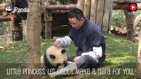 新皮肤爆料道歉视频,深度反思与诚挚致歉 第2张 新皮肤爆料道歉视频,深度反思与诚挚致歉 第2张