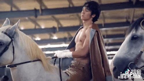 陈牧驰爆料合集视频大全,揭秘背后真相与精彩瞬间