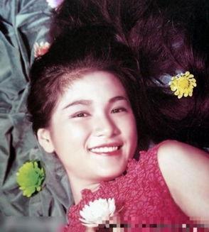 郑佩佩爆料香港女星视频,真相与反思 第3张 郑佩佩爆料香港女星视频,真相与反思 第3张