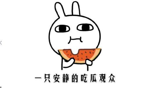 抖音上的吃瓜网红有哪些,揭秘热门话题背后的神秘面纱