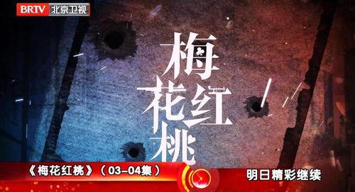 精品梅2在线播放观看,在线观看，尽享视听盛宴