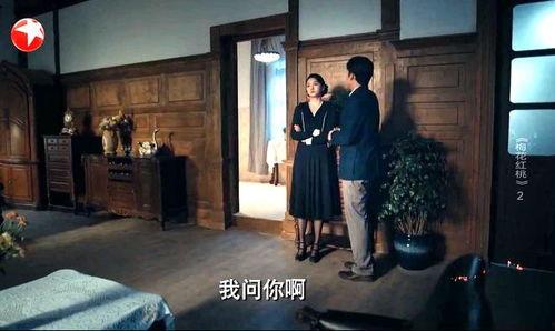 精品梅2在线播放观看,在线观看，尽享视听盛宴  第2张