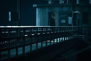 七年之夜在线观看  第3张