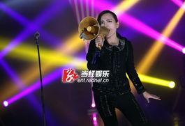 在线观看歌手总决赛  第3张