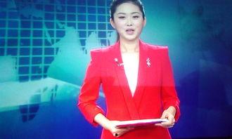 广东新闻爆料主持人,揭秘幕后故事  第3张