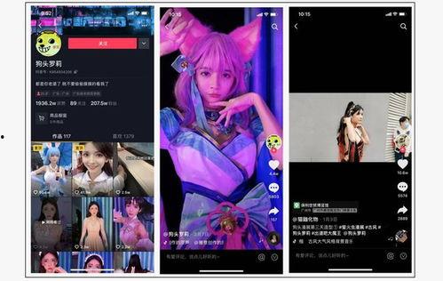 呆呆的爆料视频大全集在线观看,揭秘幕后真相，带你领略网络风云