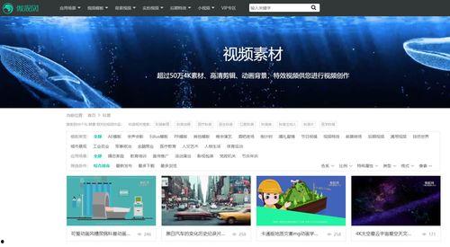 寻找爆料视频素材下载  第3张