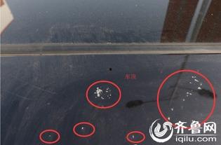 赵先生最新爆料新闻,揭秘娱乐圈最新劲爆新闻