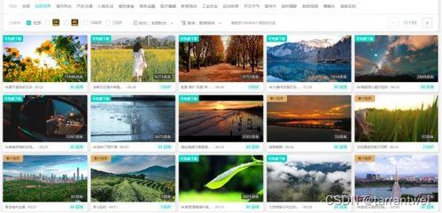 火爆爆料视频素材下载网站 第3张 火爆爆料视频素材下载网站 第3张